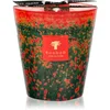 Baobab Collection Arty Flowers Poppies dišeča sveča 1000 g