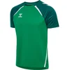 Hummel Dres Hummel hmlLEAD 2.0 Jersey