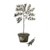 Venture Design Poster Olive 30x40 cm Zelena