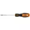 Izvijač Torx T15 x 100 mm 04-187