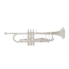 JP251 SW BB trobenta / POSREBRENA