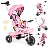 Eco toys 2u1 tricikl sa rotirajućim sedištem i sklopivom tendom pink ( wql-066-18 pink )