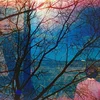 Idlewild - Idlewild (Digisleeve) (CD)