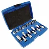 Silver Komplet srebrnih nastavkov Torx, 19 kosov