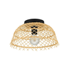 Eglo 43831 - Plafonsko svetlo AUSNBY 1xE27/40W/230V