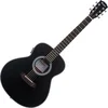 Pasadena PT-100E Black Ostale elektro-akustične