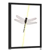 Plakat čarobnost kačjega pastirja - 60x90 black