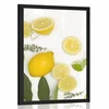 Plakat mešanica citrusov - 20x30 black