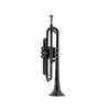 pTrumpet trobenta - Black