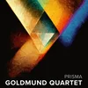 Goldmund Quartet - Goldmund Quartet - Prisma (LP)
