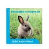 Vulkan upoznavanje i otkrivanje bebe životinja