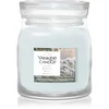 Yankee Candle Snow Kissed Pine dišeča sveča Signature 110 g