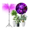 Brilagi-LED prigušiva stojeća lampa za uzgoj biljaka VITABLOOM 4xLED/7,5W/230V