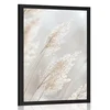 Plakat bež trsje - 40x60 no frame