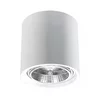 Sollux SL.0841 - Spot svetiljka KALU 1xGU10/ES111/40W/230V