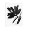 Canvas Slika na platnu Crno beli cvet II, Sa ramom, 30 x 40 cm, Beli