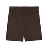 Puma FC St. Pauli 24/25 Special Edition Shorts Youth, Brown, Size 6-9M, Clothing