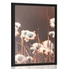 Plakat bombažna trava - 30x45 black