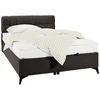 Box Krevet Magic 140/200 cm , sivo-braon