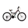 CAPRIOLO MTB CTX240 24/18HT sivo-oranz