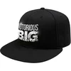 Notorious B.I.G. Sonic Silver Logo Kapa Black UNI