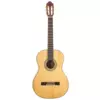 Peavey Delta Woods CNS-2 klasična gitara