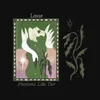 Louse - Passions Like Tar (LP)