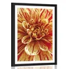 Plakat s paspartujem eksotična dalija - 40x60 black
