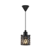Nordlux - Luster na sajli HOLLYWOOD 1xE27/60W/230V zadimljena