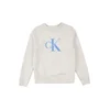 Calvin Klein Jeans Majica azur / pegasto siva / bela