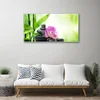 tulup.si Slika na steklu Bamboo listi graphics 100x50 cm 2 obešalnika