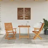 vidaXL vidaXL 3-delni zložljiv bistro set iz trdnega akacijevega lesa, (22015966)
