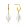 ANIA HAIE Earrings Pearl of Wisdom E019-02G