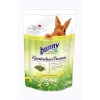 Bunny | Rabbit Dream Basic