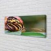 tulup.si Slika na platnu Metulj 140x70 cm