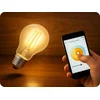 LED prigušiva sijalica A60 E27/5W/230V 2700-6500K Wi-Fi Tuya