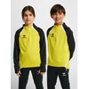 Otroški športni pulover hmlLEAD 2.0 HALF ZIP KIDS