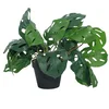 DekorDom Veštačko cveće u saksiji Monstera Zd-Bybg19(A)-Pgj, 32 cm
