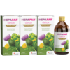 Hepafar Detox (naravni napitek) 3x