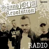 Sound Of A Revolution - Radio (LP)