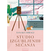 Sanaka Hiragi Studio izgubljenih sećanja ( 28944 )