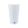 PALADONE Playstation Glass PS5