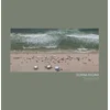 Donna Regina - Transient (Limited Edition) (LP)