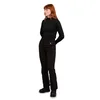 Ženske ski pantalone Icepeak Pantalone za skijanje Pantalone za snowboard za žene