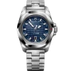 Victorinox 242020 INOX