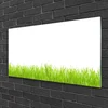 tulup.si Slika na steklu Grass nature rastlin 100x50 cm 2 obešalnika