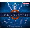 WAGNER:THE VALKYRIE /GOODALL 4CD (OPERA IN ENGLISH)
