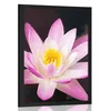Plakat čudovit lokvanj - 20x30 silver