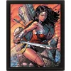 Slika 3D Wonder Woman bitka