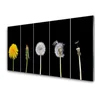 tulup.si Steklena slika Dandelion rastlin 125x50 cm 2 obešalnika